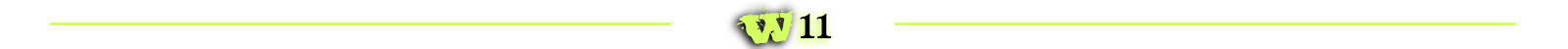 royal windjammers story